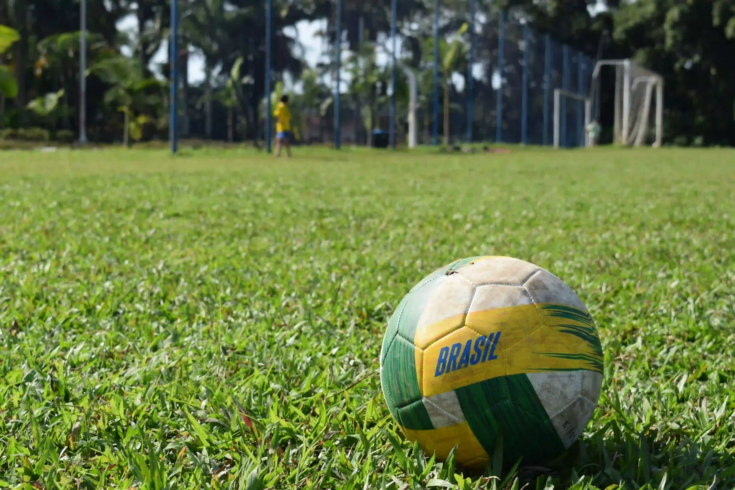 Soccer ball with Brasil written on it